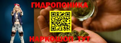 прущие крисы Гатчина