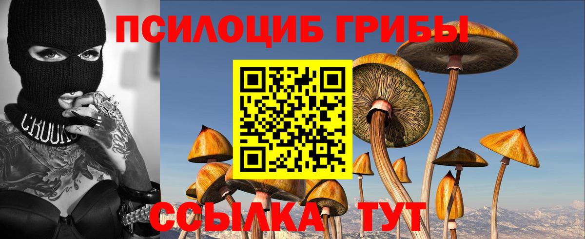 Псилоцибиновые грибы Psilocybe  Вход с VPN  Златоуст 